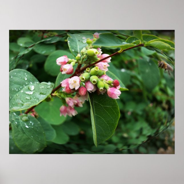 Affiche gouttes de pluie (Devant)