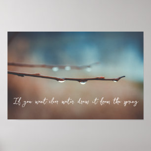 Affiche Gouttes de pluie sur une branche d'arbre