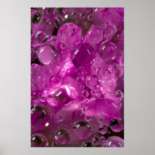 Affiche Gouttes d'eau sur une fleur, Californie