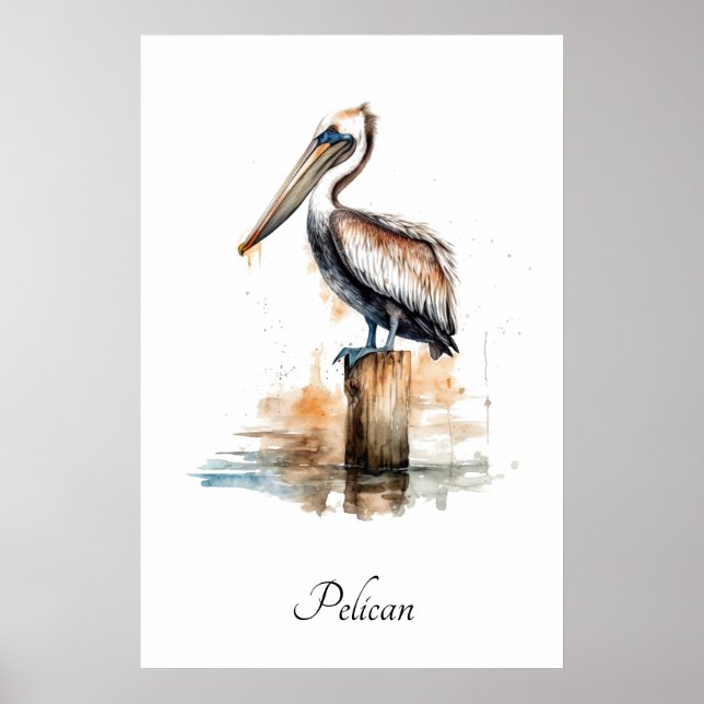 Affiche Grâce du Pélican  (Devant)
