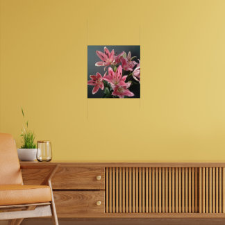 Affiche Grace rayonnante : Lys roses en fleur