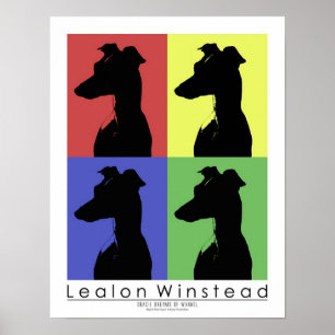 Affiche Gracie Dreams de