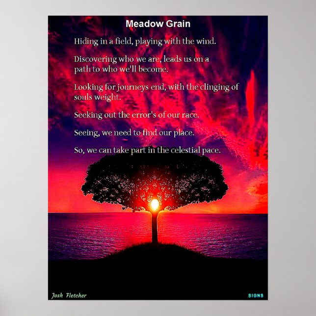 Affiche Grain de Prairie (Devant)
