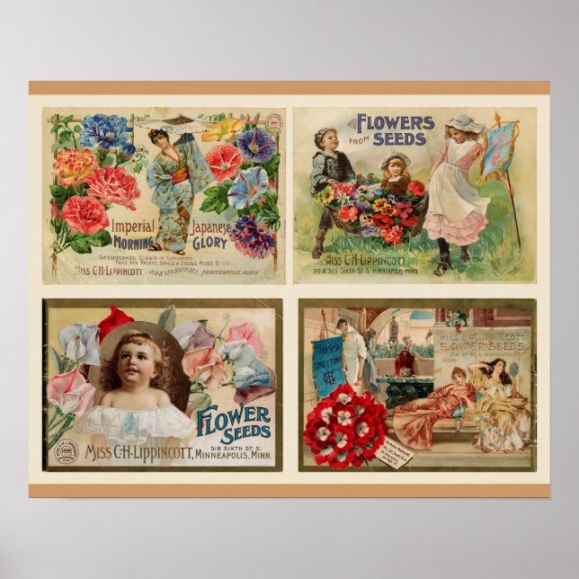 Affiche Graines de fleurs Collage Vintage (Devant)