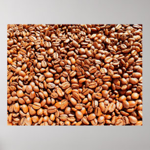 Affiche grains de café aromatiques rôtis au soleil, café