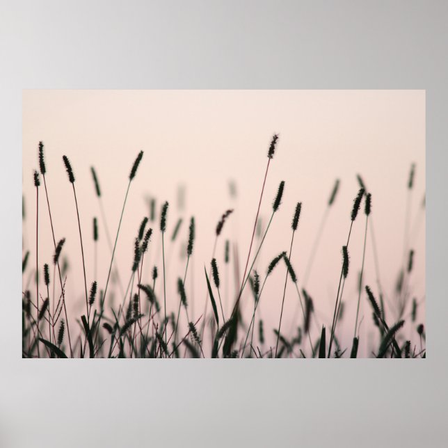 AFFICHE GRAISSE VERTE (Devant)