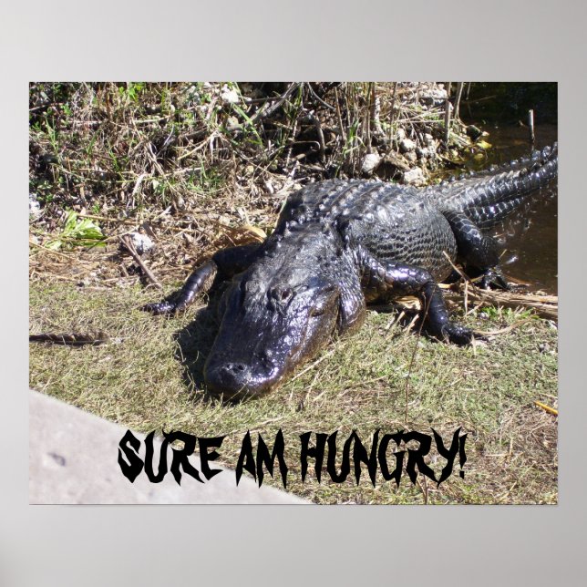 Affiche Grand Alligator Noir (Devant)