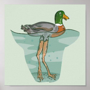 Affiche Grand canard aux jambes longues