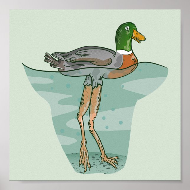 Affiche Grand canard aux jambes longues (Devant)