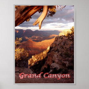 Affiche Grand Canyon - Panorama - United States -