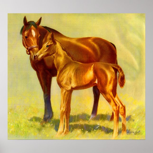 Affiche grand cheval petit cheval (Devant)
