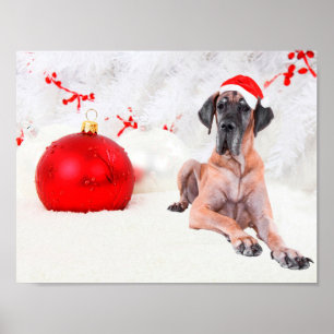 Affiche Grand chien Danse Casquette Joyeux Noël Ornement r