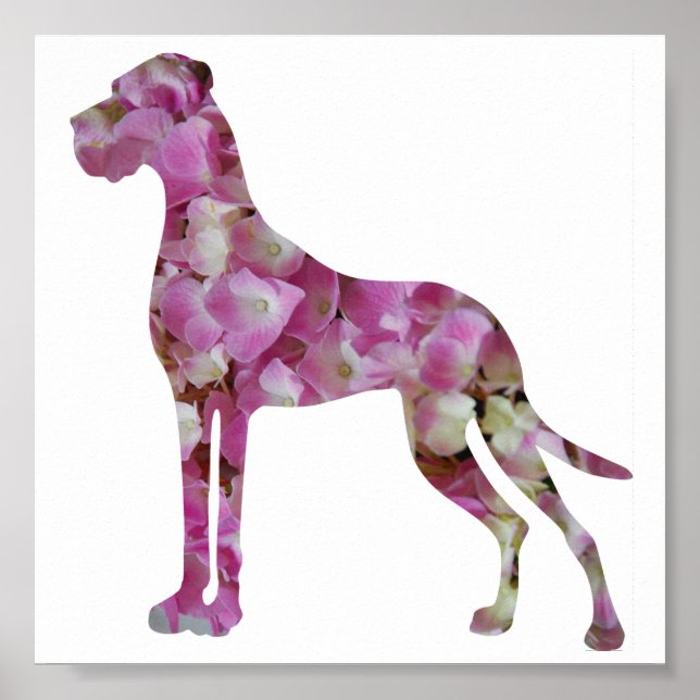 Affiche Grand Danois (Devant)