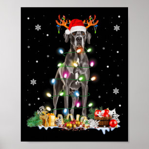 Affiche Grand Danse Noël Santa Hat Fairy Lights Pyjama