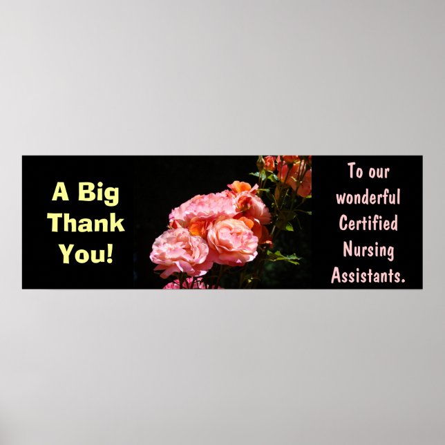 Affiche Grand Merci Assistants Soignants Certifiés (Devant)