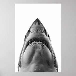 Affiche Grand portrait de requin blanc moderne