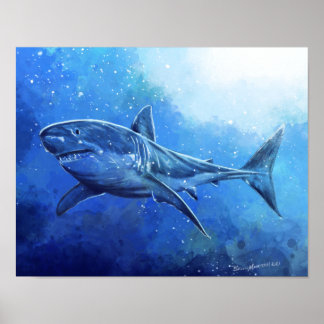 Affiche Grand requin blanc