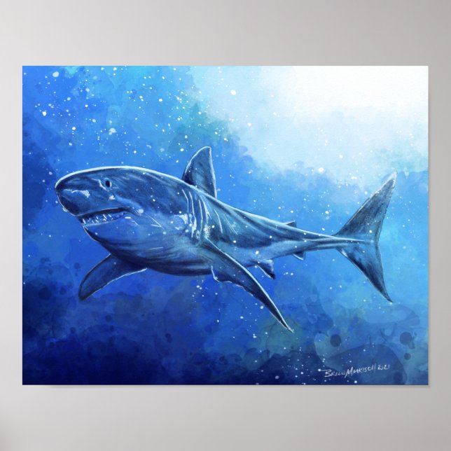 Affiche Grand requin blanc (Devant)