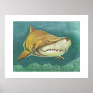 Affiche Grand requin de sable