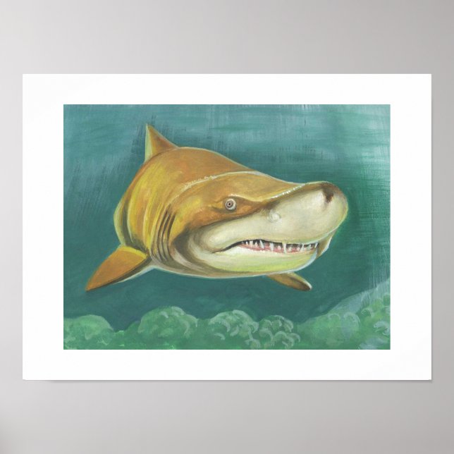 Affiche Grand requin de sable (Devant)