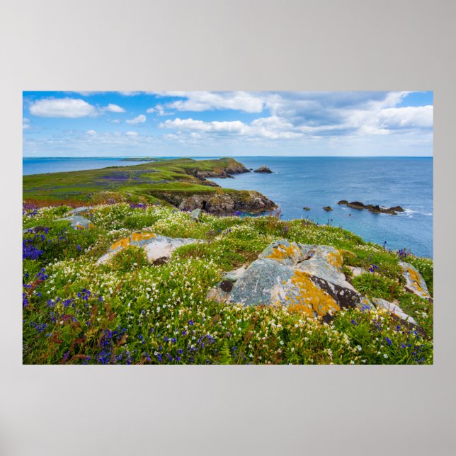 AFFICHE GRAND SALTEE, ÎLES SALTEE, IRLANDE (Devant)