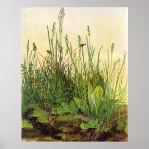 Affiche Grand Turf - Albrecht Durer - c1503