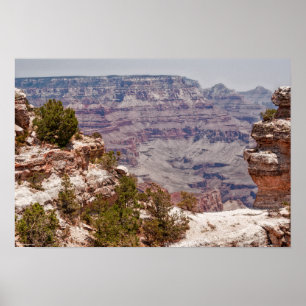 Affiche Grand View de Canard