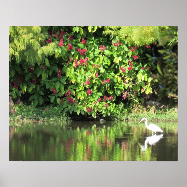 Affiche Grande Aigrette Pêche - Beau Paysage (Devant)