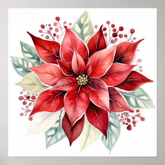 Affiche Grande Belle Rouge Poinsettia Fleur de Noël (Devant)