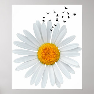 Affiche Grande Fleur marguerrière avec des oiseaux volants