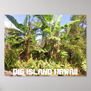 AFFICHE GRANDE ÎLE HAWAII BANANES ARBRES