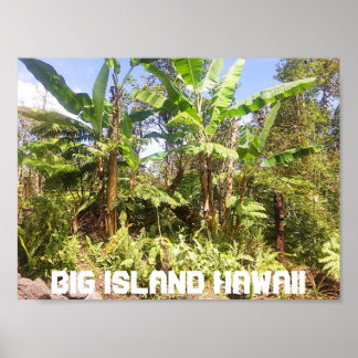 AFFICHE GRANDE ÎLE HAWAII BANANES ARBRES
