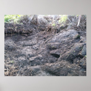 AFFICHE GRANDE ÎLE LAVA ROCK
