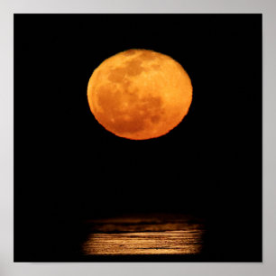 Affiche Grande Pleine lune   South Padre Island, Texas