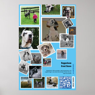 Affiche Grande promotion de Kennel