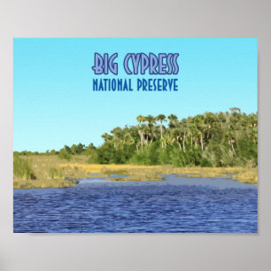 Affiche Grande réserve nationale de Cypress Floride