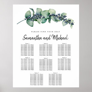 Affiche Grandes Eucalyptus Botanique 8 tables