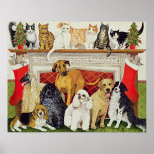 Affiche Grandes expectatives