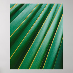 Affiche Grandes plantes de texture verte