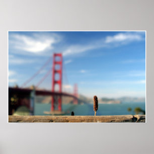 Affiche Grandir au Golden Gate