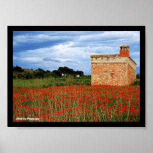 Affiche Grange à la campagne dans un champ de coquelicots