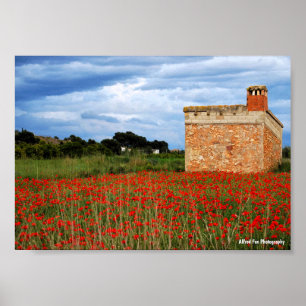 Affiche Grange à la campagne dans un champ de coquelicots