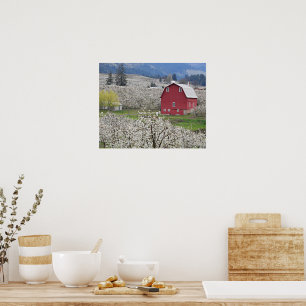 Affiche Grange Rouge Pittoresque et Fleurs de Poirier