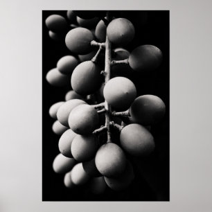 Affiche graphes