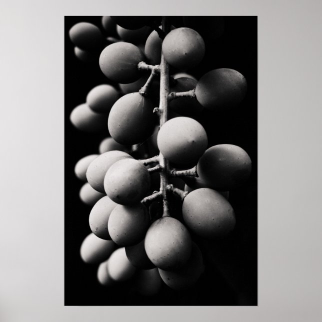 Affiche graphes (Devant)
