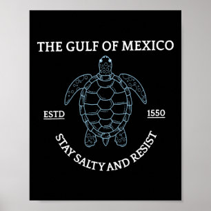 Affiche Graphic Sea Turtle Golfe Du Mexique Est 1550