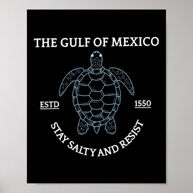 Affiche Graphic Sea Turtle Golfe Du Mexique Est 1550 (Devant)