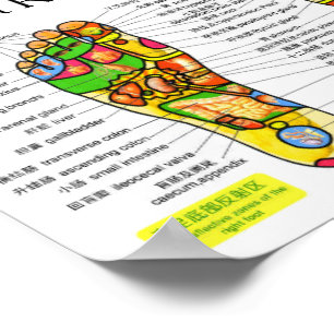 Affiche Graphique de flexologie des pieds 10x7"