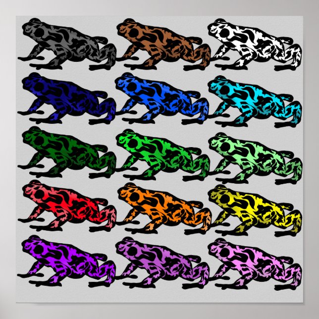 Affiche Graphique de grenouilles arc-en-ciel (Devant)