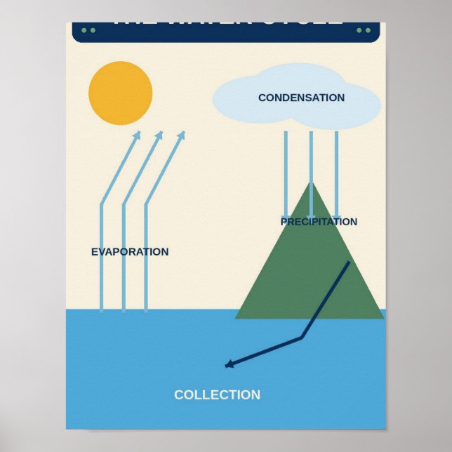 Affiche Graphique de la classe de sciences du cycle de l'e (Devant)